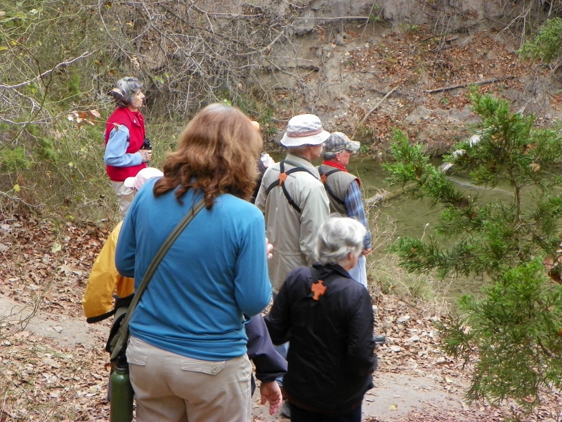 100_3587 (800x600).jpg - TLAS birders photographed by Elaine Horton